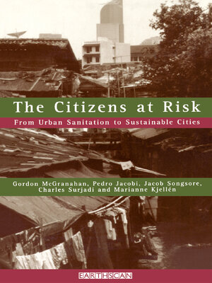 cover image of The Citizens at Risk